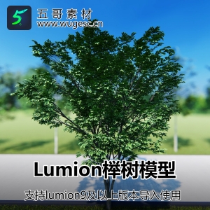 lumion9及以上导入模型榉树3棵