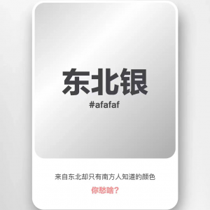 【配色】东北银