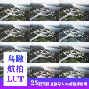 D5渲染器鸟瞰航拍LUT25个
