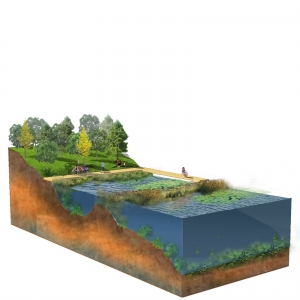 景观驳岸psd模板04