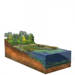 景观驳岸psd模板06