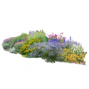 花镜植物组团免扣素材1