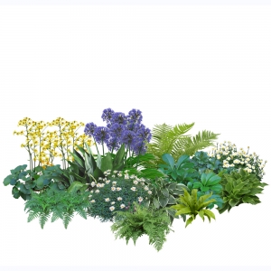 花镜植物组团免扣素材10