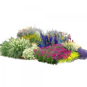 花镜植物组团免扣素材2