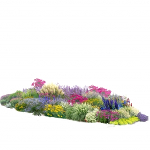 花镜植物组团免扣素材4