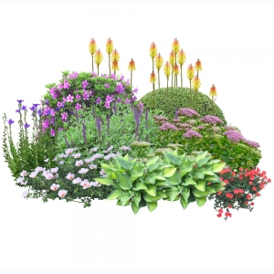 花镜植物组团免扣素材8