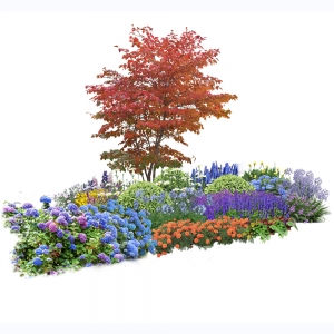 花镜植物组团免扣素材9