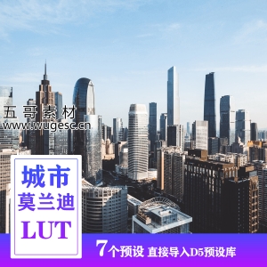 D5城市莫兰迪灰LUT预设7款