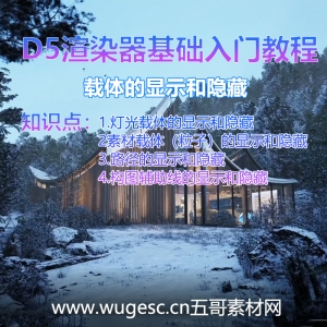 D5渲染器2.3版本基础入门教程-查看功能载体显隐显示模式渲染质量