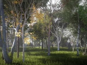 【转载】大蛇建筑精选D5本地植物素材167棵