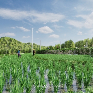 D5渲染器农田水稻写实场景