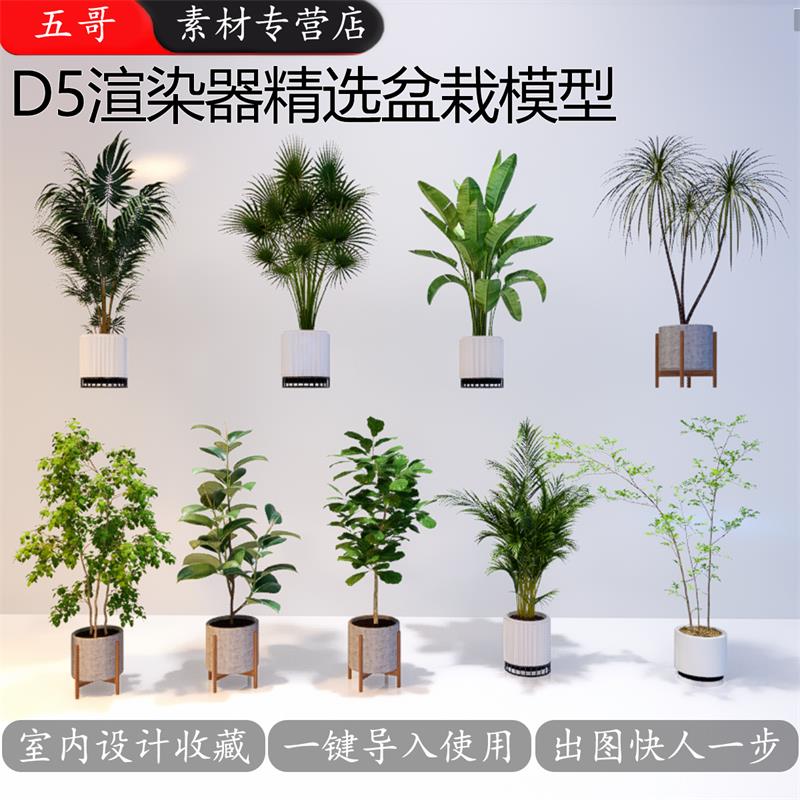 D5渲染器室内盆栽绿植模型库N01