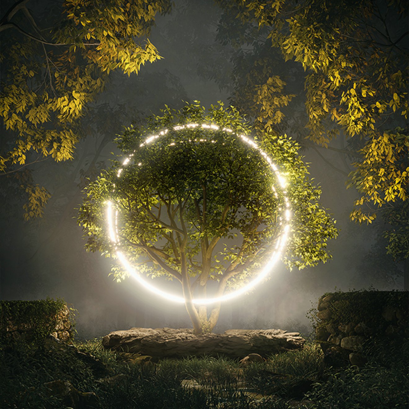 D5渲染器场景/光圈树