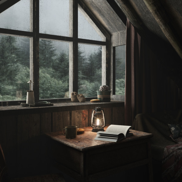 D5渲染器场景/放松治愈氛围木屋