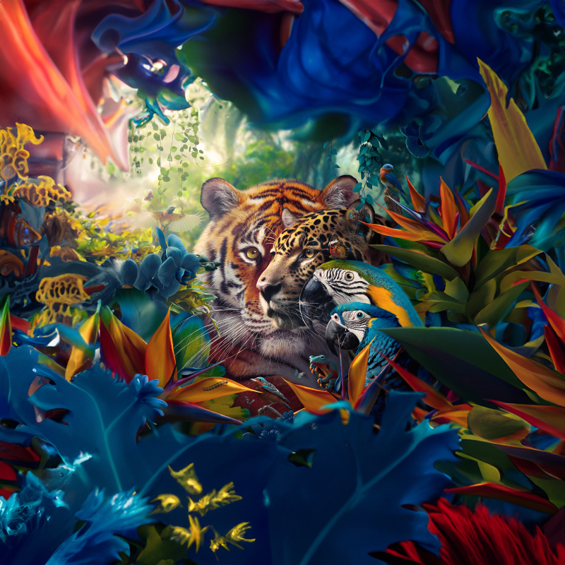 PS虎标Beta 25.1正式版,AI创成移除功能都可用